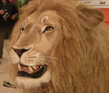Anamatronic lion head - Howard Berger Anamatronic lion head