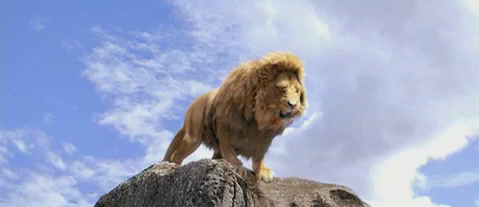 Liam Neeson Will Voice Aslan - NarniaWeb