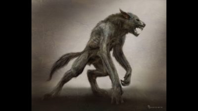 Werewolf concept art Werewolf concept art