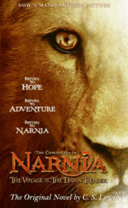 Dawn Treader Rack Cover