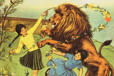 Ahead of new Narnia movie, actor's comments on Aslan cause