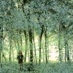 Concept art by Michele Moen +