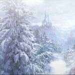 EE Gift Set packaging (inside back)