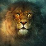 Aslan Banner