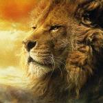 Aslan Profile Banner