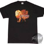 Officially licensed Aslan t-shirt - Stylin Online