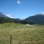 New Zealand - Steven Hofmann