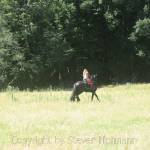 New Zealand - Steven Hofmann