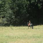 New Zealand - Steven Hofmann