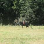 New Zealand - Steven Hofmann