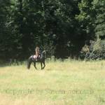 New Zealand - Steven Hofmann