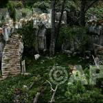 Ruins of Cair Paravel at Hahei - Chris Skelton