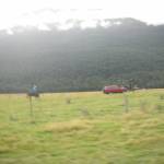 Paradise, New Zealand - Ryan and Pamela