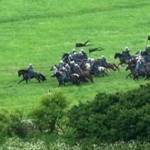 Paradise, New Zealand - Team Velocity