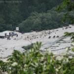 River Soca, Bovec, Slovenia - damjan.net