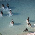 River Soca, Bovec, Slovenia - damjan.net