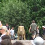 River Soca, Bovec, Slovenia