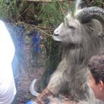 River Soca, Bovec, Slovenia