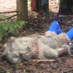 River Soca, Bovec, Slovenia