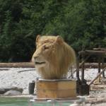 River Soca, Bovec, Slovenia