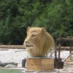 River Soca, Bovec, Slovenia
