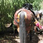 River Soca, Bovec, Slovenia