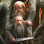 My what big eyes you have?