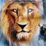 VDT Theater Display - tenthofthatname