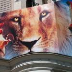 VDT Banner at Cannes