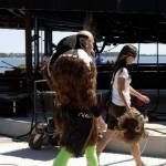 Walking to the ship - Bayside Bulletin