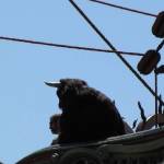 Filming - Sept 17, 2009 - Tamara