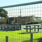 The Dawn Treader - July 16 2009 - BaysideBulletin