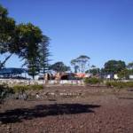 The Dawn Treader - July 19 2009 - SpringHillVoice.com