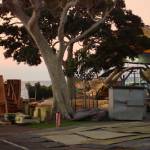 The Dawn Treader - July 29, 2009 - narnia_fanatic