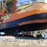 The Dawn Treader - August 19, 2009 - Under Her Starry Mantle