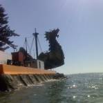 The Dawn Treader - August 23, 2009 - Under Her Starry Mantle