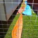 Filming - Sept 13, 2009 - ellz_bellz