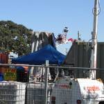 Filming - Sept 8, 2009 - Tamara                                  