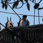 Filming - Sept 8, 2009 - Tamara                                  