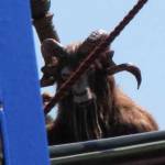 Filming - Sept 8, 2009 - Tamara                                 