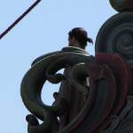 Filming - Sept 8, 2009 - Tamara                                 