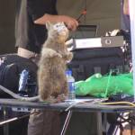 Filming - Sept 16, 2009 - MundoNarnia