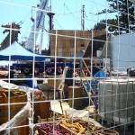 Filming - Sept 13, 2009 - ellz_bellz