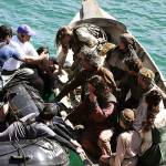 Filming - August 13 - Gold Coast News