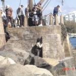 Filming - August 11, 2009 - myartismylife