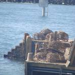 Narrowhaven Wharf - August 8 - Under Her Starry Mantle