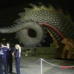 The scale of the tail - myartismylife