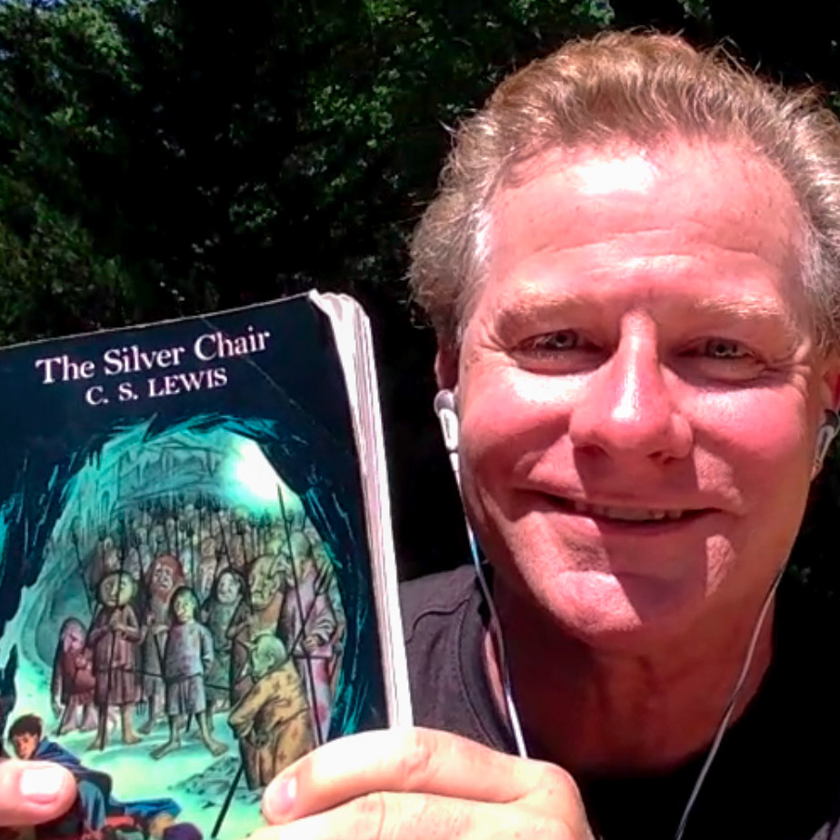 The Silver Chair Screenwriter Talks About the Fourth Narnia Movie