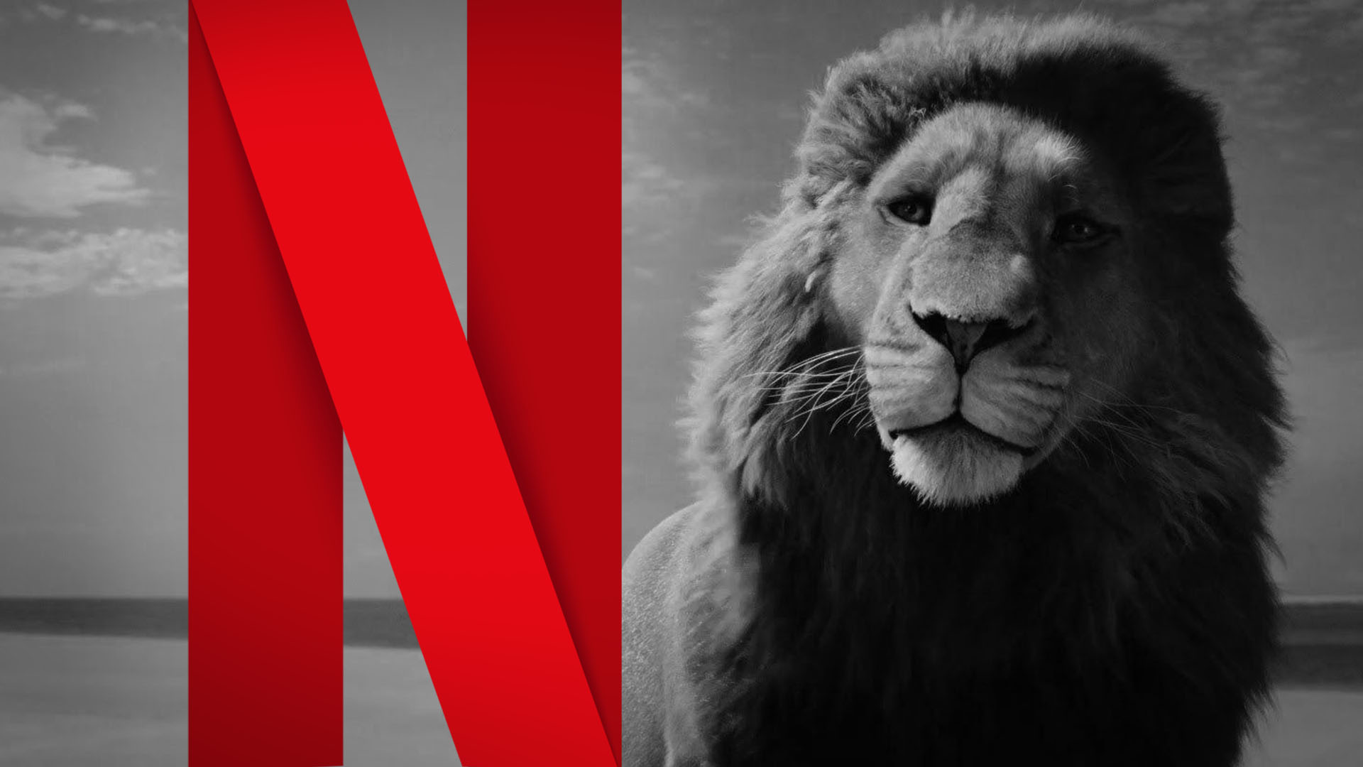 Netflix's Narnia: What We Know - NarniaWeb | Netflix's Narnia Movies
