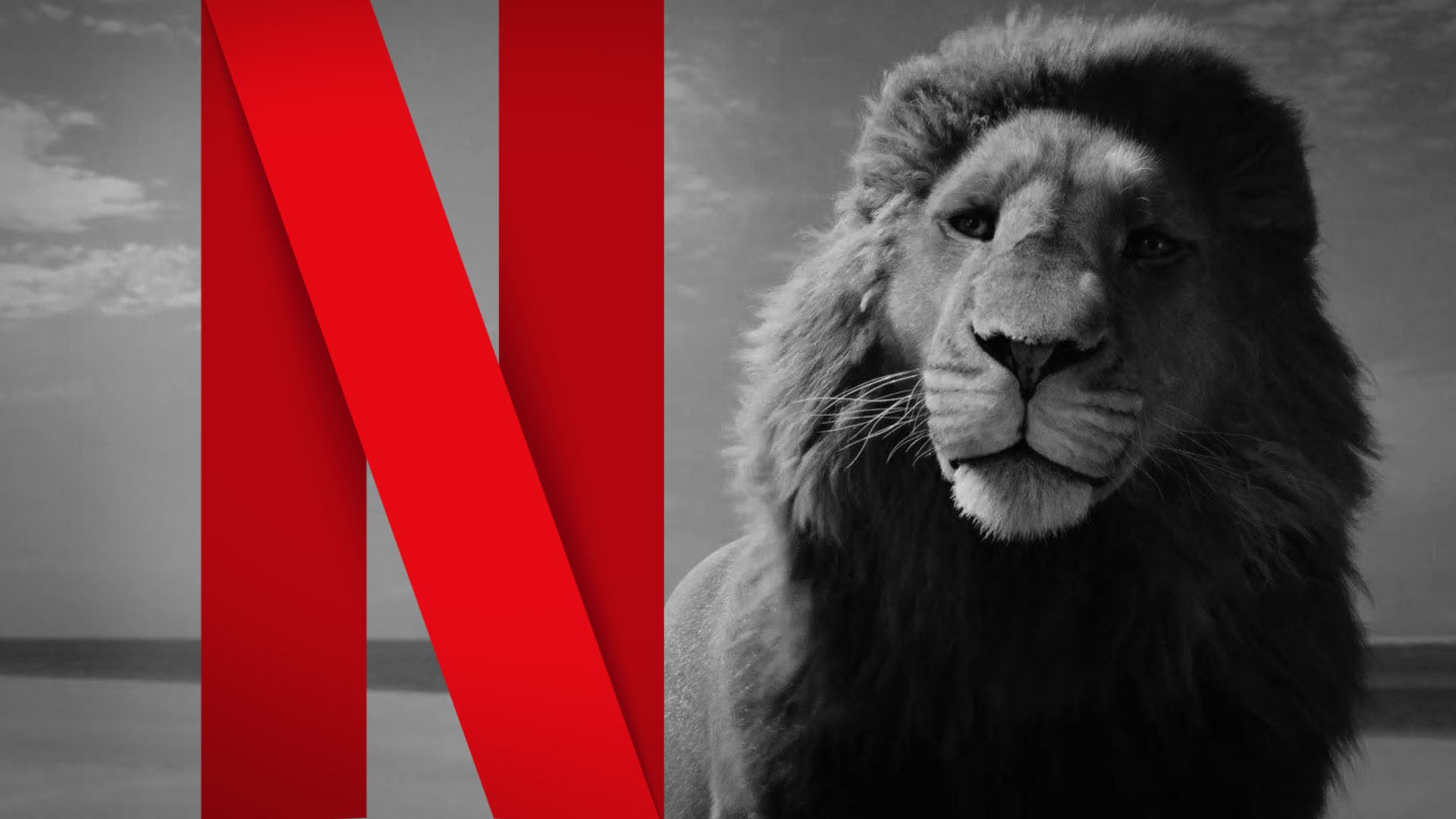 What Happened to The Chronicles of Narnia Netflix Series and Films